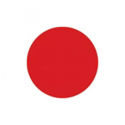 Vopsea acrylica Master Nails 12ml-12 Vopsea acrylica Master Nails 